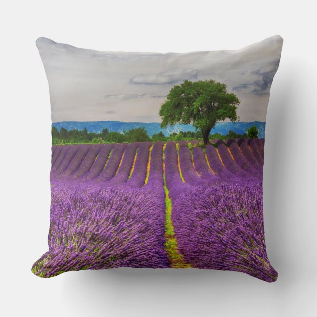 Coussin Champ de lavande panoramique, France (Recto)