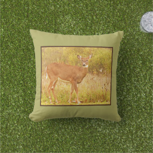 COUSSIN CHAMP DEER REGARDANT L'APPAREIL PHOTO