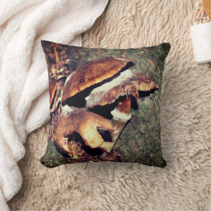 Coussin Champignons Brown Sauvages Dans La Crevice Arbre
