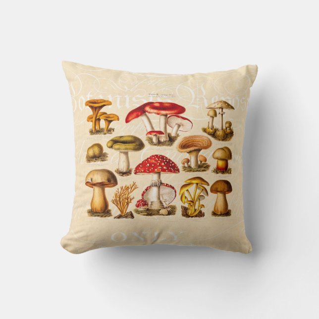Coussin Champignons vintages de rouge de variété de (Recto)