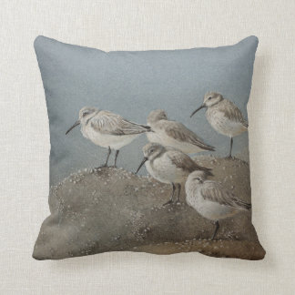 Coussin Charadriidés/Sanderlings stupéfiant le carreau