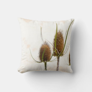 Coussin chardon tête sur abstrait