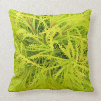 Coussin Chartreuse