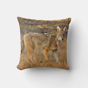 Coussin Chasse au coyote (Canis Latrans)