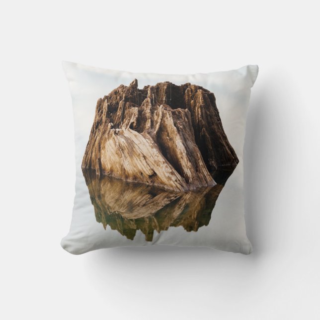 Coussin CHÂSSIS Brown EN BOIS (Recto)