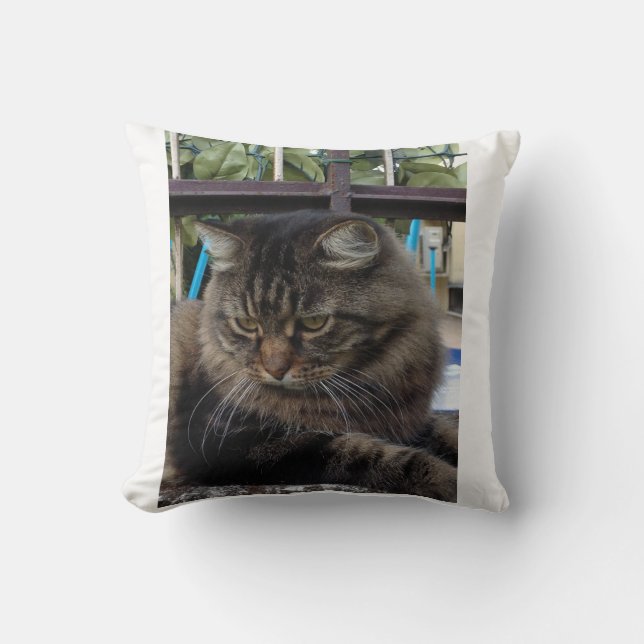 Coussin Chat (Recto)