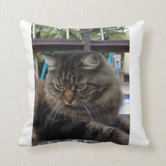 Coussin Chat