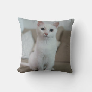 Coussin chat blanc   Zazzle_Growshop.