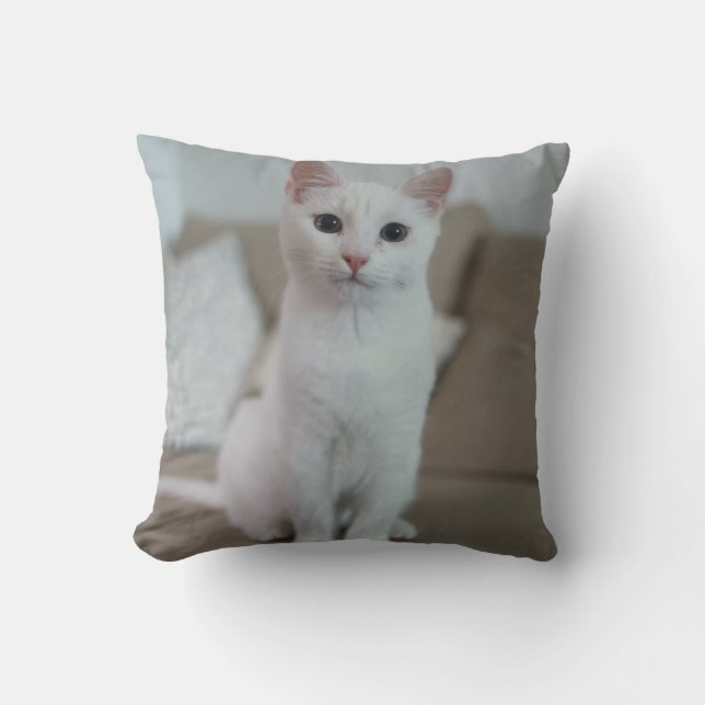 Coussin chat blanc | Zazzle_Growshop. (Recto)