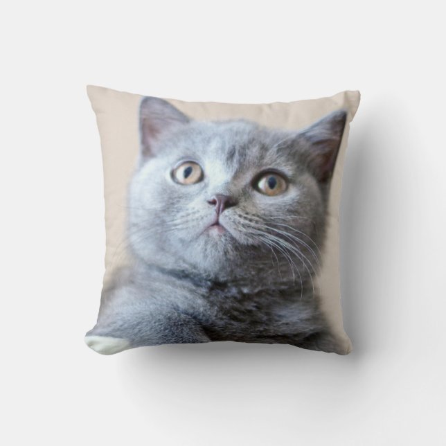 Coussin Chat britannique gris de Shorthair (Recto)
