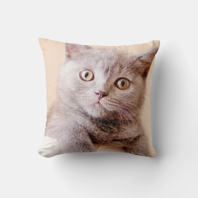 Coussin Chat britannique mignon de Shorthair (Recto)