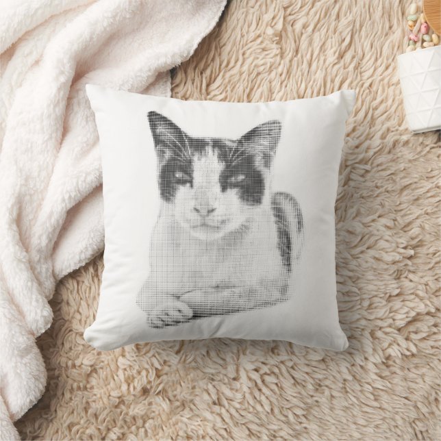 Coussin Chat calico en demi-teinte (Couverture)