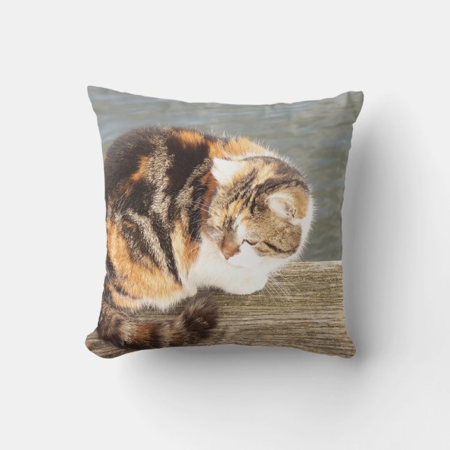 Coussin chat chanceux, multi-voies sur un plateau à l'eau (Recto)