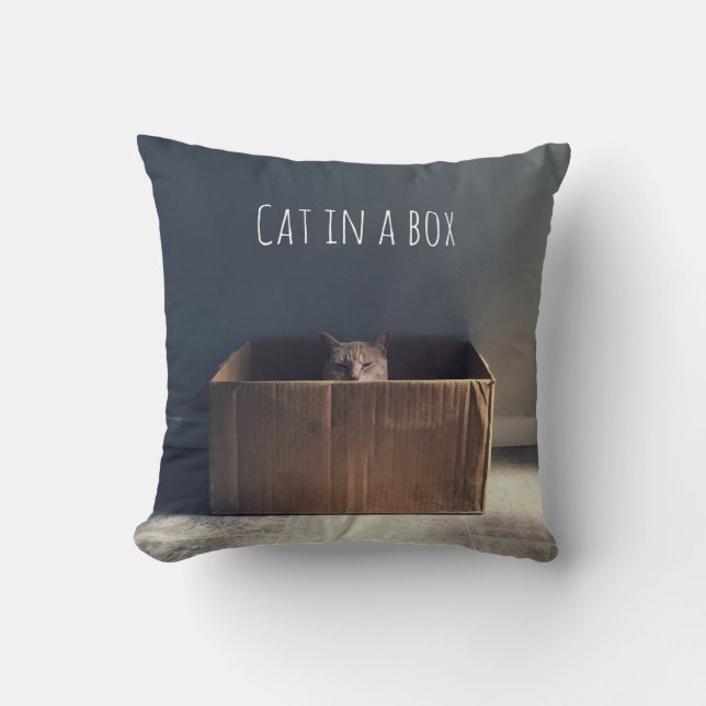 Coussin Chat dans une boîte. Le maître du chat Zen. (Recto)