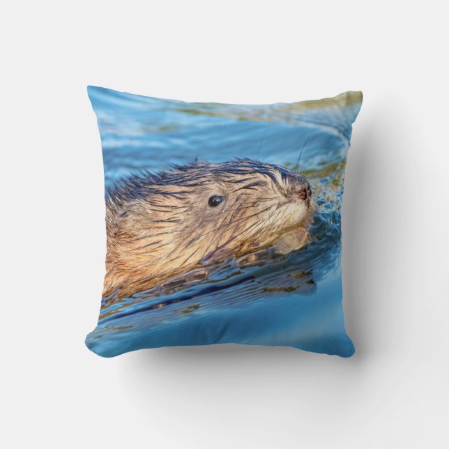 Coussin Chat de muscat dans les fermes de Vassar Réserve é (Recto)