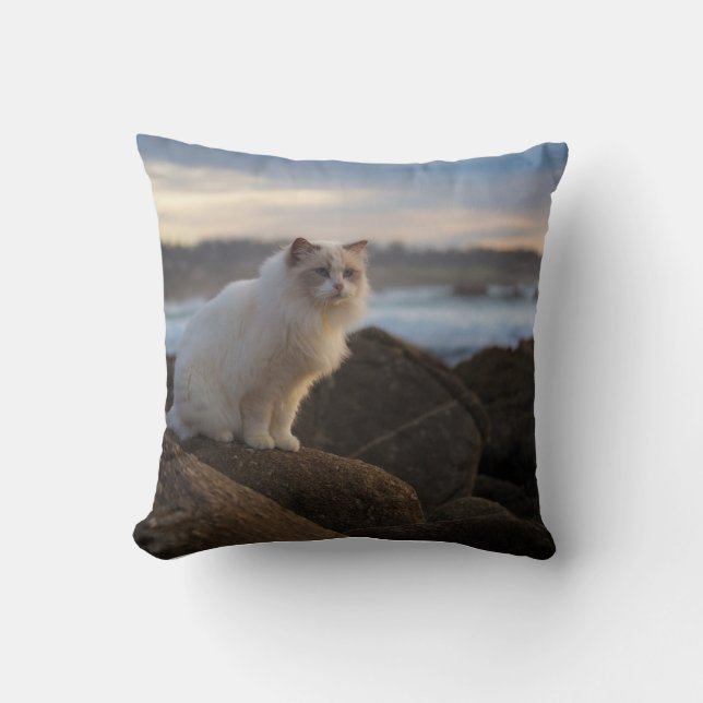Coussin Chat de Ragdoll à la plage (Recto)