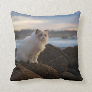 Coussin Chat de Ragdoll à la plage