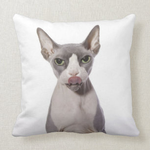 Coussin Chat de Sphynx avec la langue