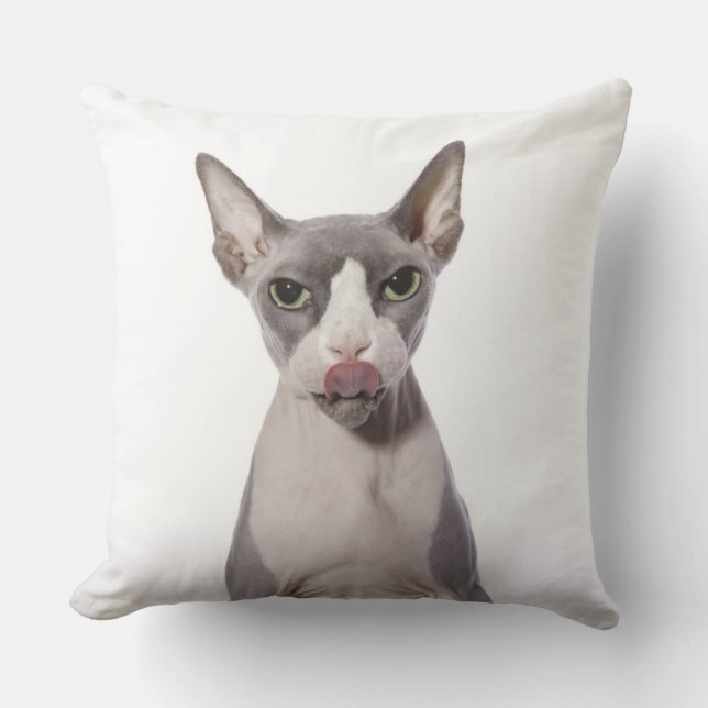 Coussin Chat de Sphynx avec la langue (Recto)