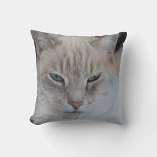 Coussin Chat de tigre de neige blanche - Amoureux de les c