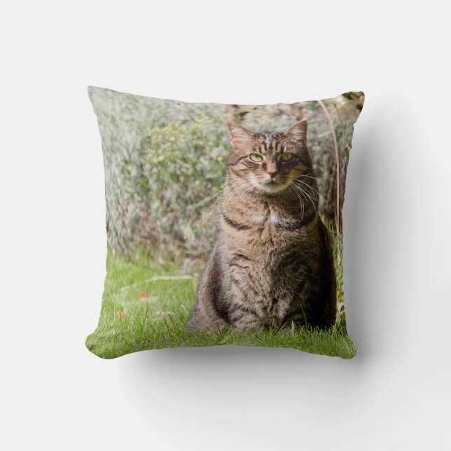Coussin - chat - deux images - 01 (Recto)