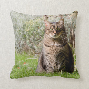 Coussin - chat - deux images - 01