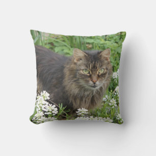 Coussin Chat domestique à longue aile