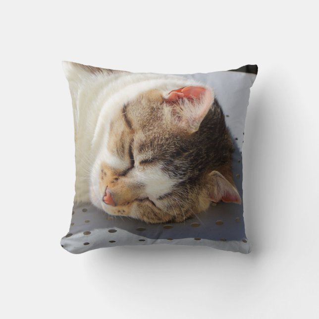 Coussin Chat dormant dans un jardin (Recto)
