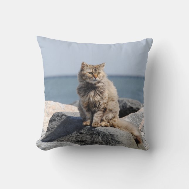 Coussin Chat Ébouriffé au Bord de la Mer Photo Mignonne (Recto)