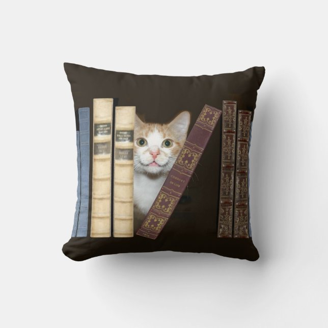 Coussin Chat et livres (Recto)