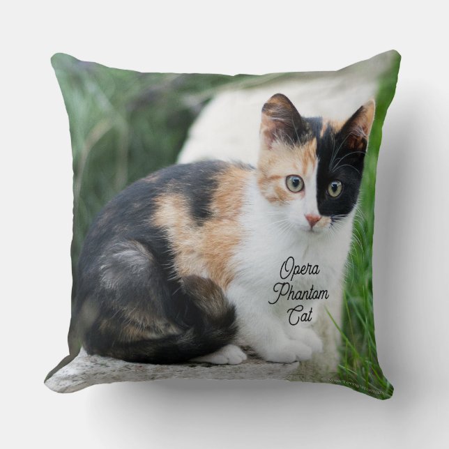 Coussin Chat Fantôme de l'Opéra (Recto)