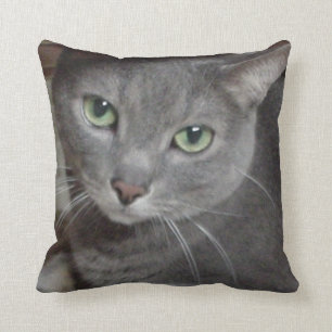 Coussin Chat gris bleu russe