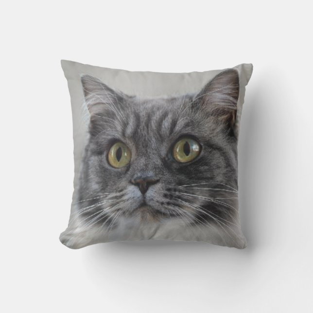 Coussin Chat gris surpris, une race distinctive (Recto)