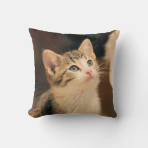 Coussin Chat mignon
