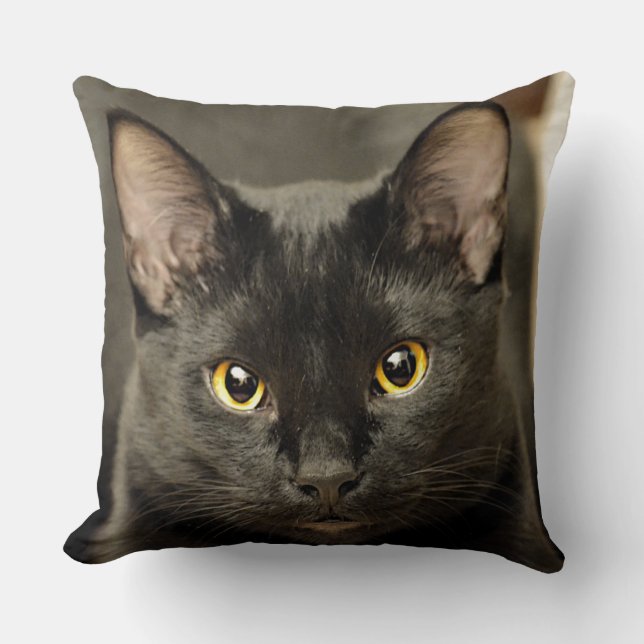 Coussin Chat noir (Recto)