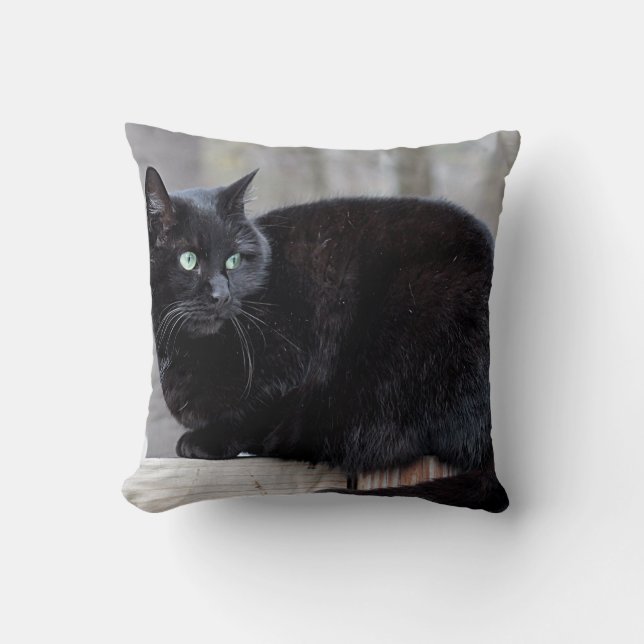 Coussin Chat noir (Recto)