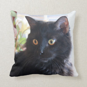 Coussin Chat noir, carreau