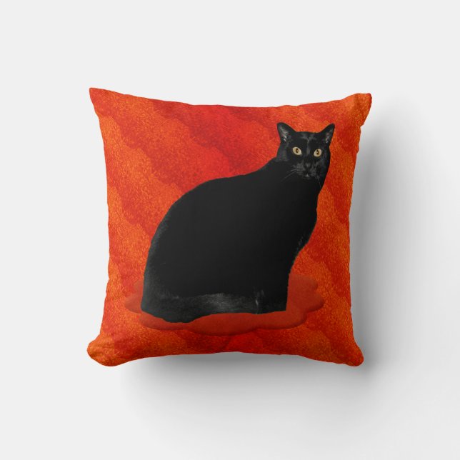 Coussin Chat noir enchantant (Recto)