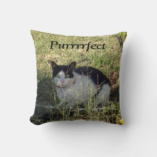 Coussin Chat Noir Et Blanc,