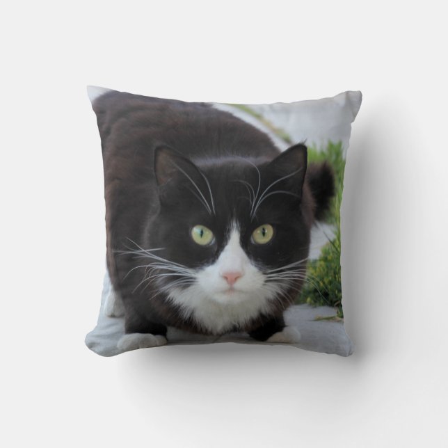 Coussin Chat noir et blanc (Recto)