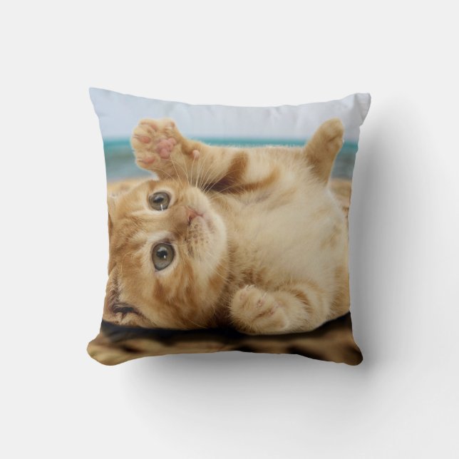 Coussin Chat orange allongé sur le sable (Recto)