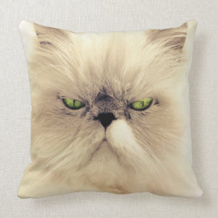 Coussin Chat persan blanc aux yeux verts