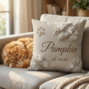 Coussin Chat Personnalisé Au Travail Gratte