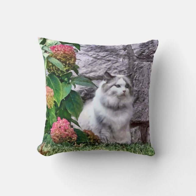 Coussin Chat Ragdoll Par Hydrangea (Recto)