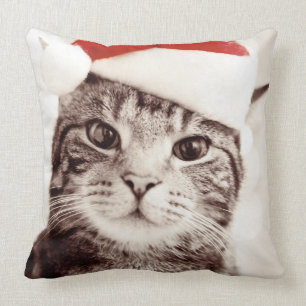 Coussin Chat tigré domestique utilisant le casquette roug