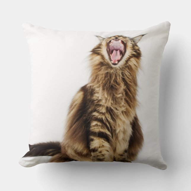 Coussin Chat tigré principal classique Brown de ragondin (Recto)