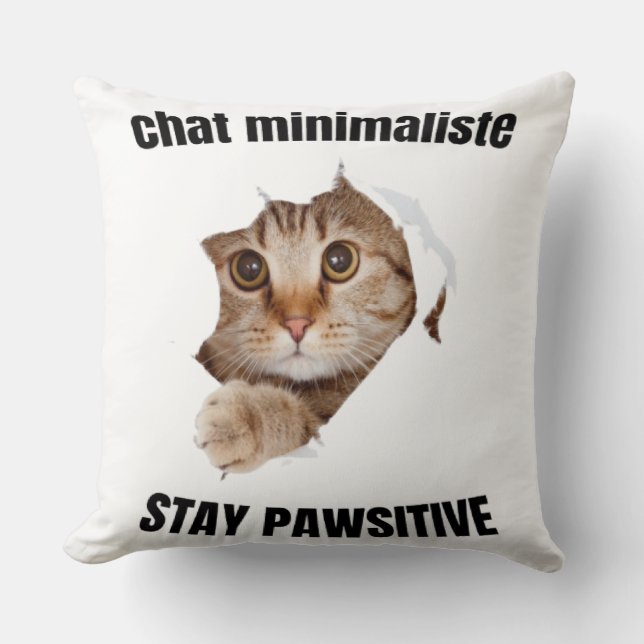 Coussin Chat Vectoriel Cool avec Lunettes de Soleil – fun (Recto)
