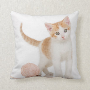 Coussin Chaton à côté de boule de ficelle