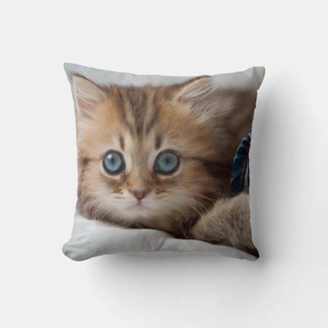Coussin Chaton avec des yeux bleus (Recto)