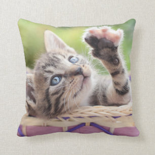 Coussin Chaton dans un panier